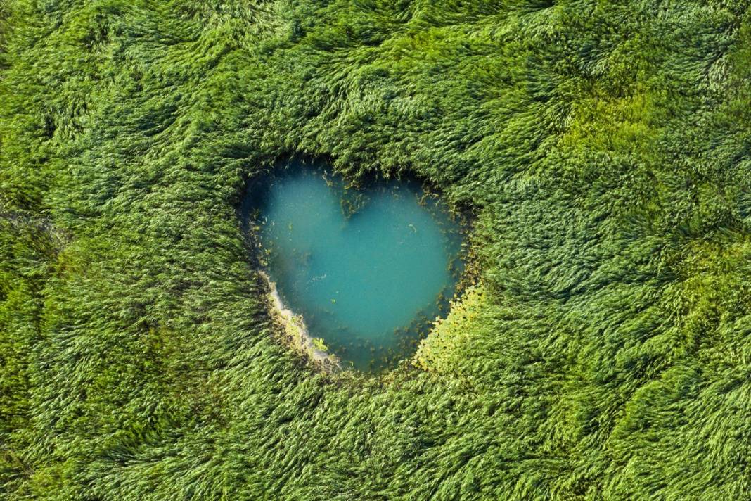 Konya’nın en büyük gölündeki büyüleyici kareler, felaketin işareti 3